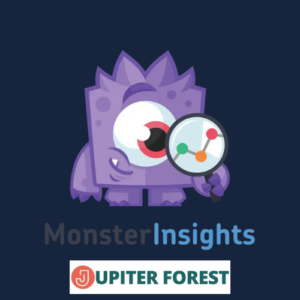 MonsterInsights Pro