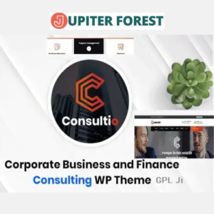 Consultio