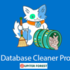 Database Cleaner Pro