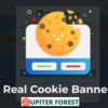 Real Cookie Banner Pro