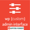 Custom Admin Interface
