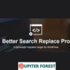 Better Search Replace Pro
